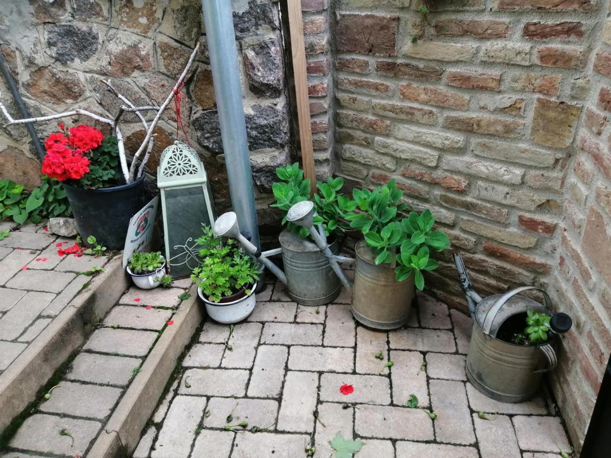 Hotel Mives Vendeghaz Pogány Zewnętrze zdjęcie