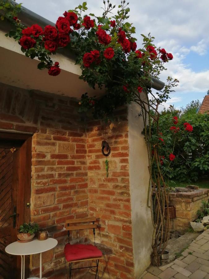 Hotel Mives Vendeghaz Pogány Zewnętrze zdjęcie