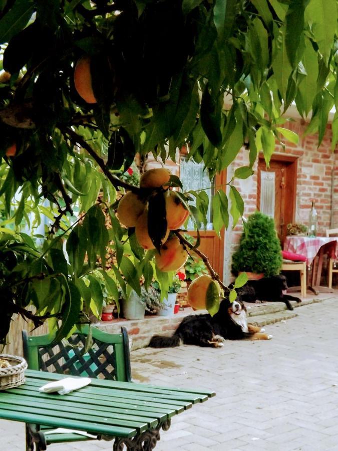 Hotel Mives Vendeghaz Pogány Zewnętrze zdjęcie